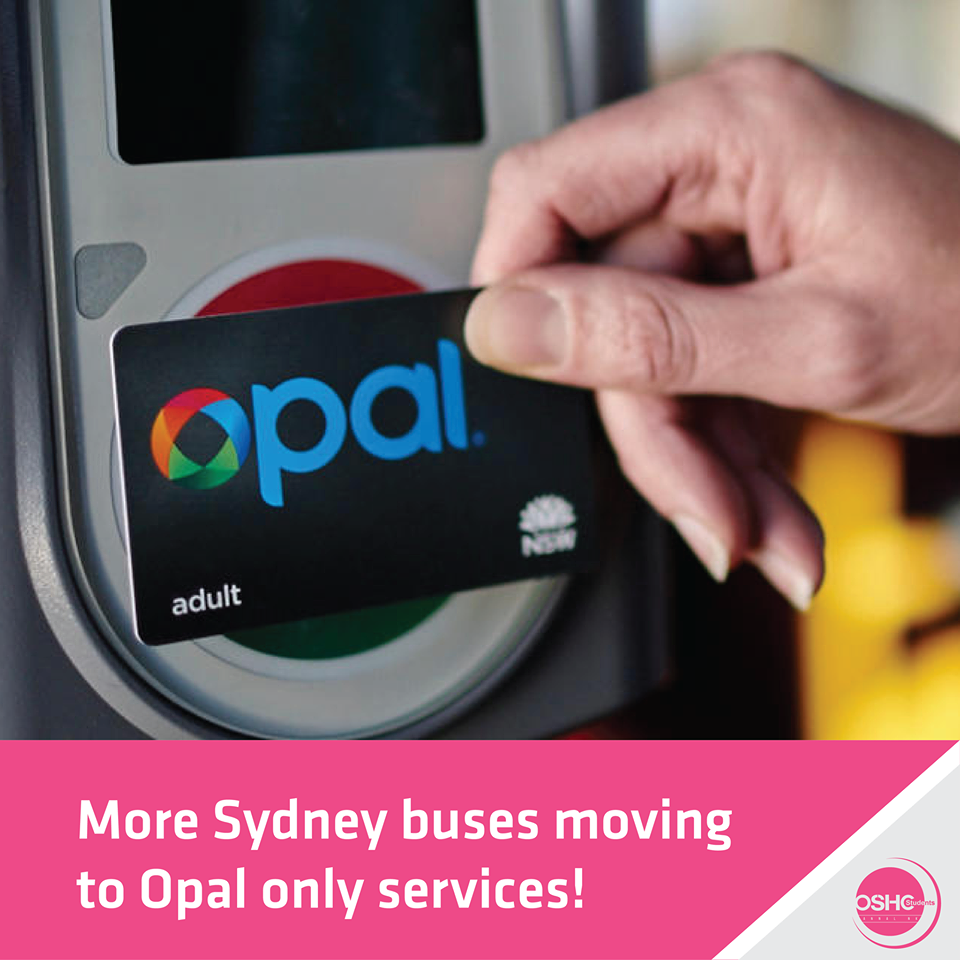 More Sydney buses moving to Opal only services!