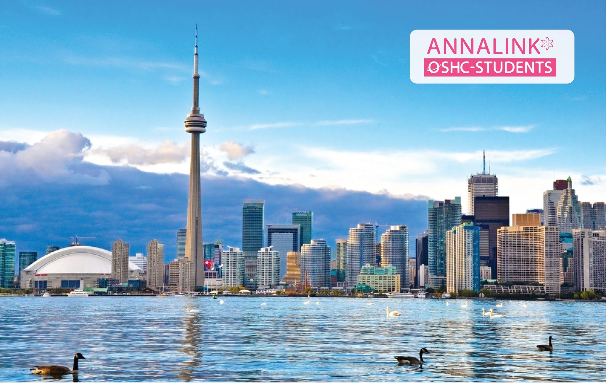 Canada to open borders to international students from Oct 20